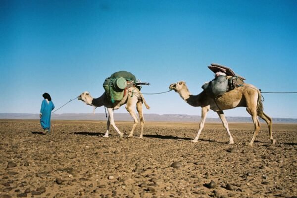 TREK IN THE SAHARA - Image 4