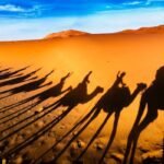 Fes to Marrakech 4 Days
