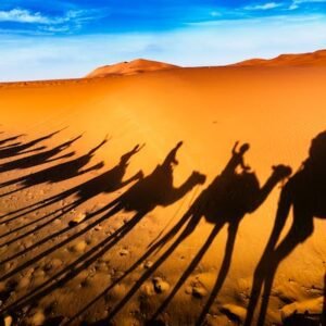 Fes to Marrakech 4 Days