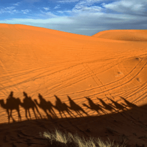 2 DAYS ERG CHEBBI TRIP