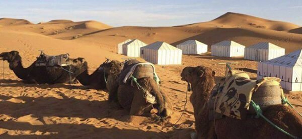 3 DAYS TO ERG CHEBBI - Image 2