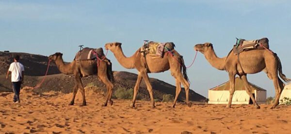 2 DAYS ERG CHEBBI TRIP - Image 2