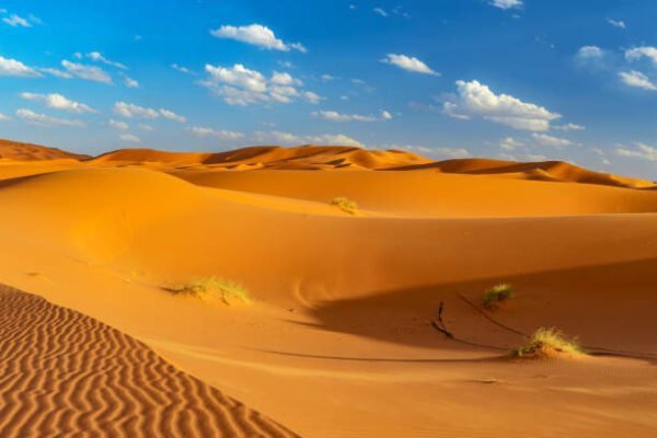 2 Days Marrakech to Fez