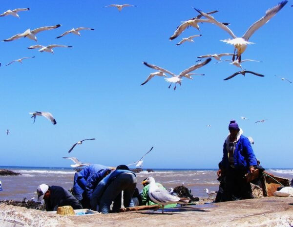 8 Days Marrakech and Coast - Image 6