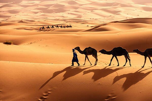 erg chebbi tour