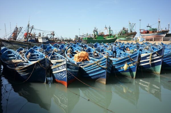 Marrakech to Essaouira Day Trip - Image 5