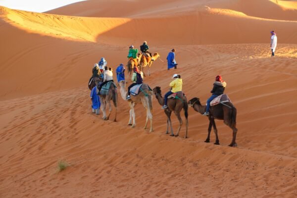 6 Days sahara tour
